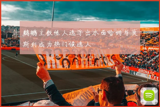 鹈鹕主教练人选浮出水面哈姆与莫斯利成为热门候选人