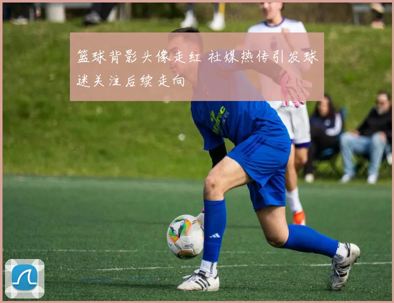 篮球背影头像走红 社媒热传引发球迷关注后续走向