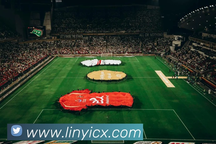 九游体育app官网下载平台平台生态图